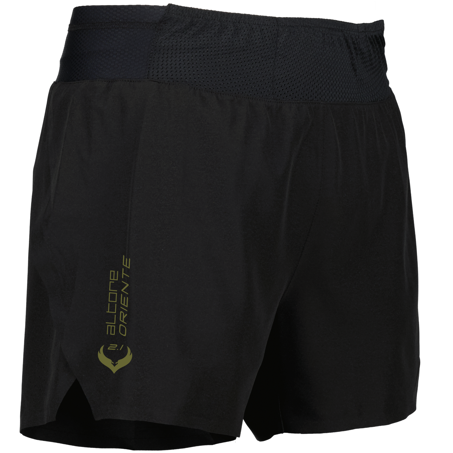 ORIENTE 2.1 - M - 4 Versions