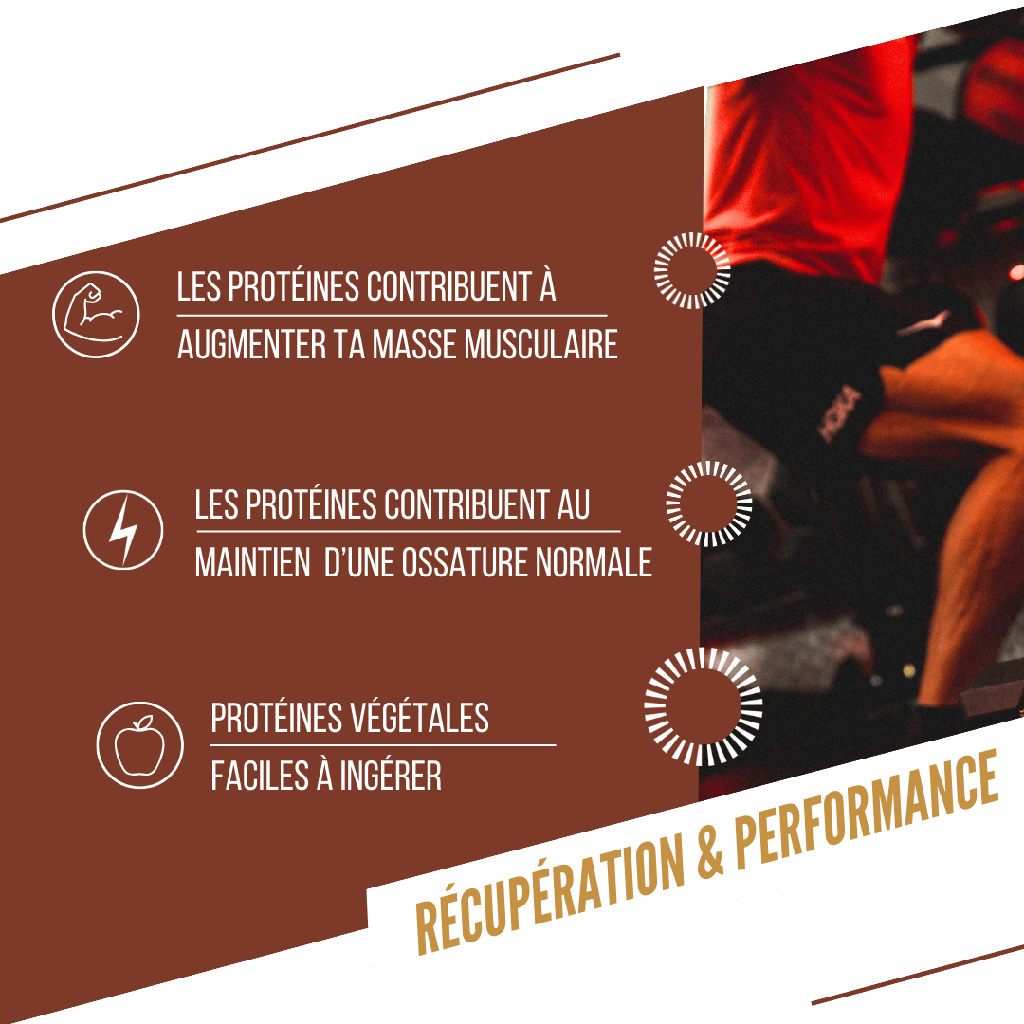 Baouw Barre Protéinée - Chocolat Cacahuète