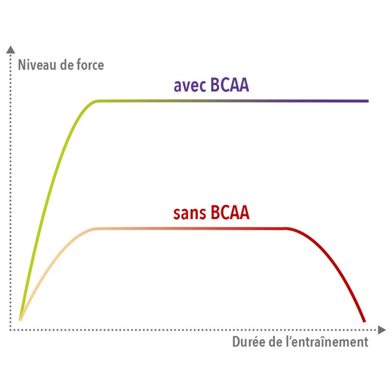 BCAA 4 : 1 : 1 - Citron - STC Nutrition