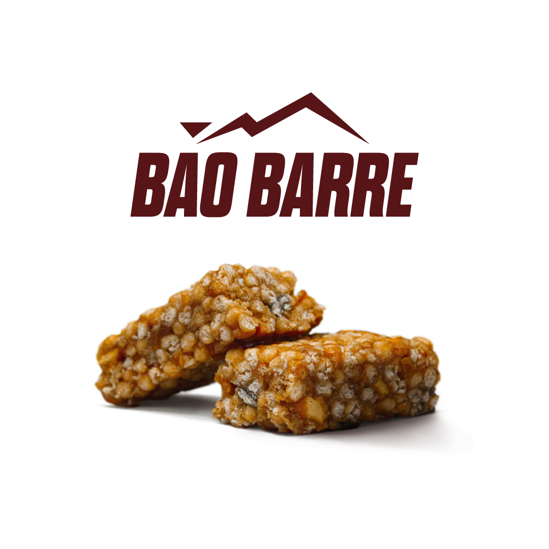 Bao Barre : La Barre Protéines Bio croustillante riche en fibres - Natural Origins
