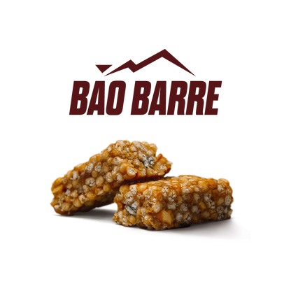 Bao Barre : La Barre Protéines Bio croustillante riche en fibres - Natural Origins