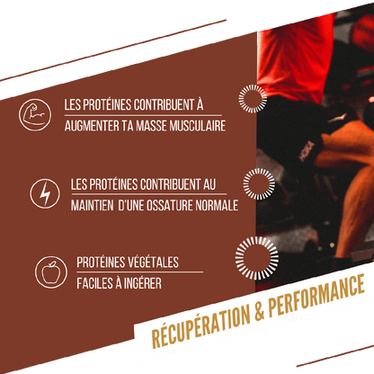 Baouw Barre Protéinée - Chocolat Cacahuète